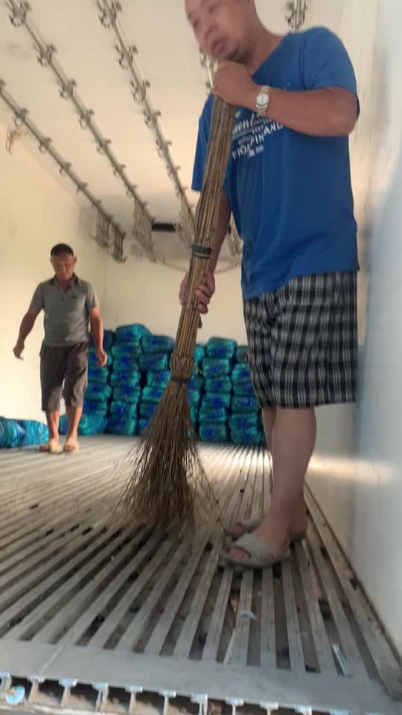 茭白