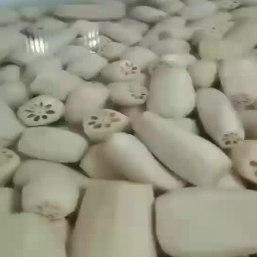精品腌制藕段