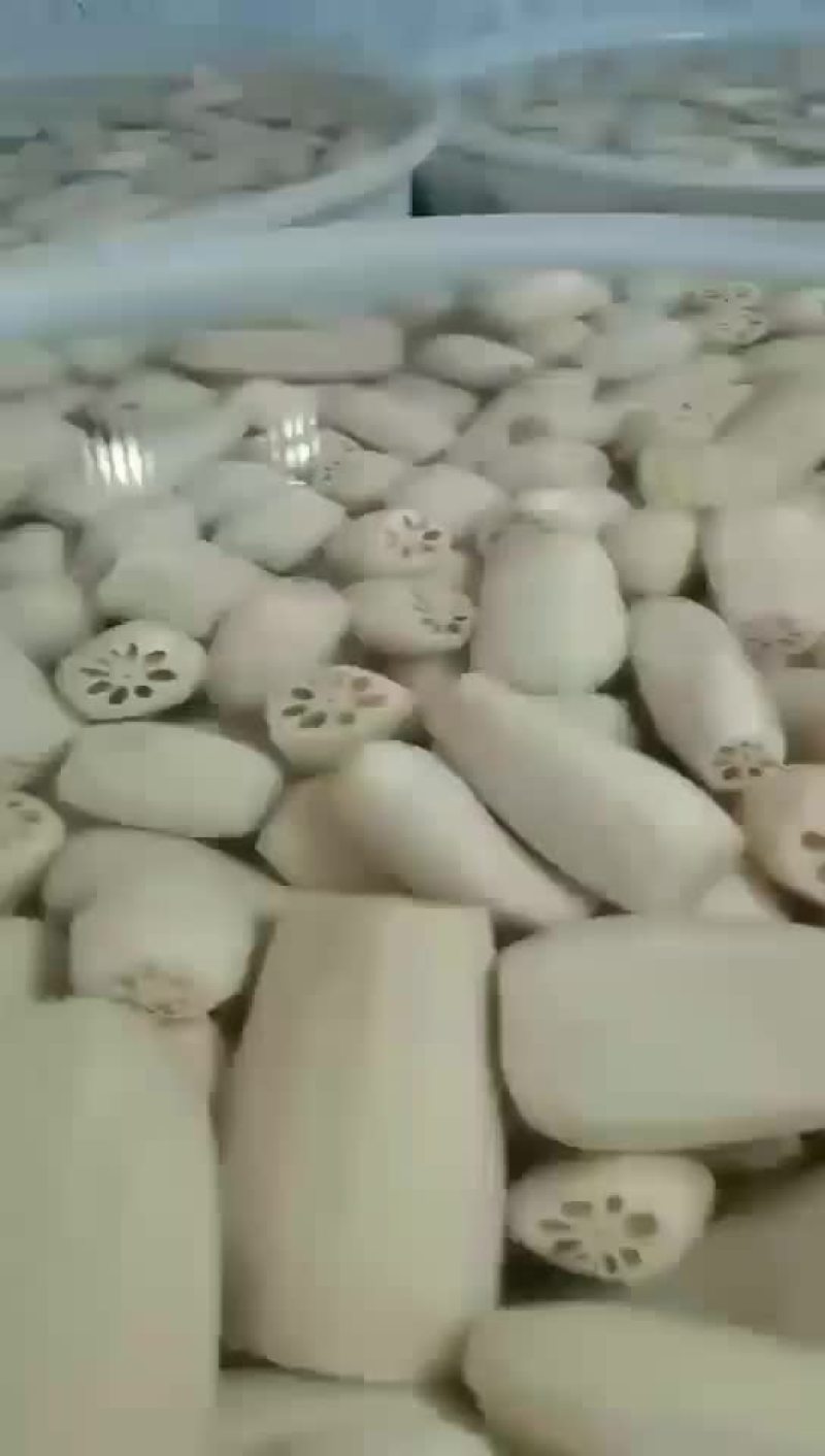 精品腌制藕段