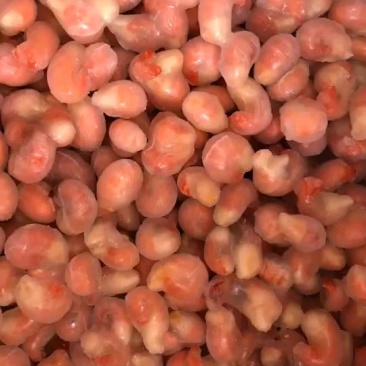 龙虾尾