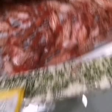 牡丹虾