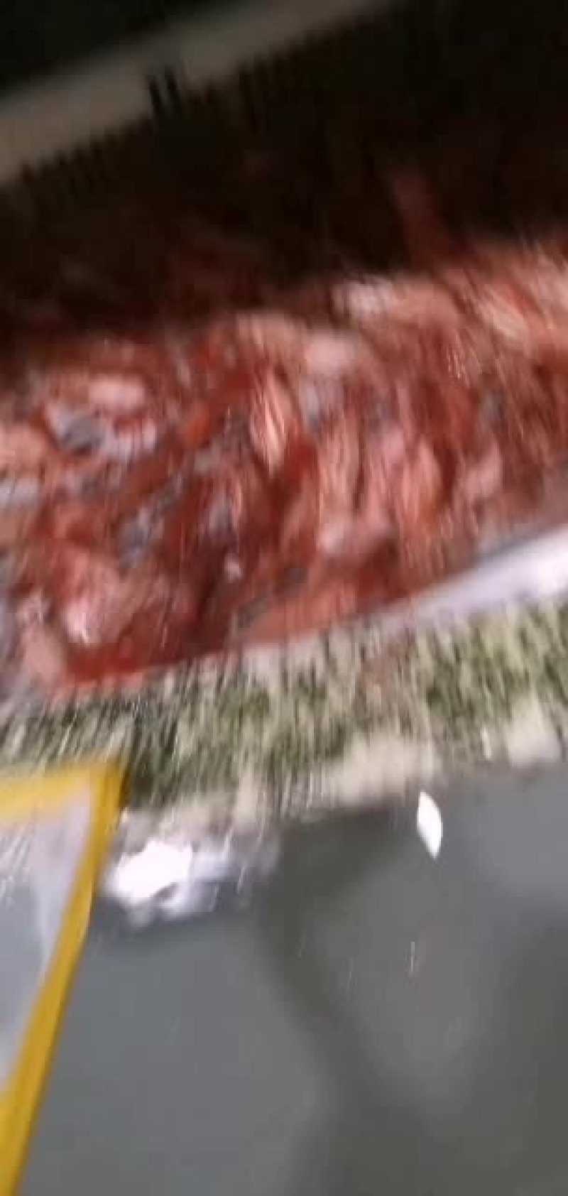 牡丹虾