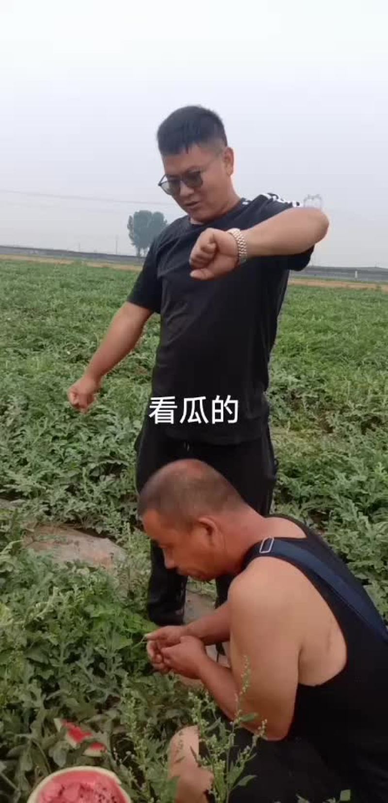 西瓜开会