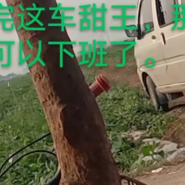 西瓜开会