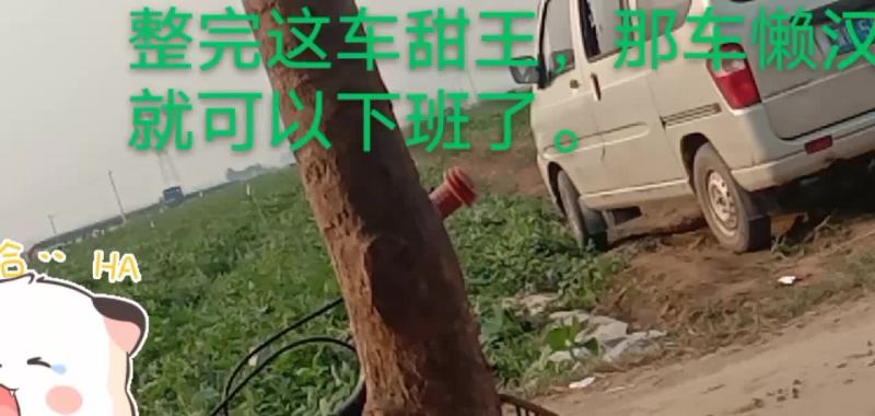 西瓜开会