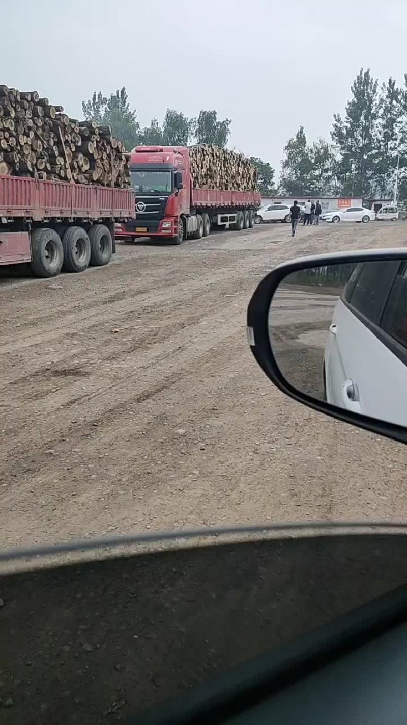 行情不好