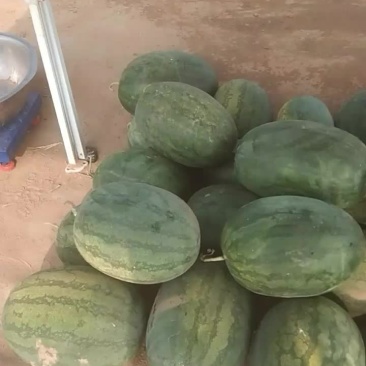 好西瓜不多了