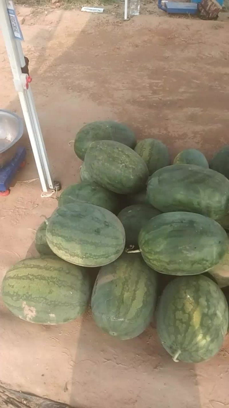 好西瓜不多了