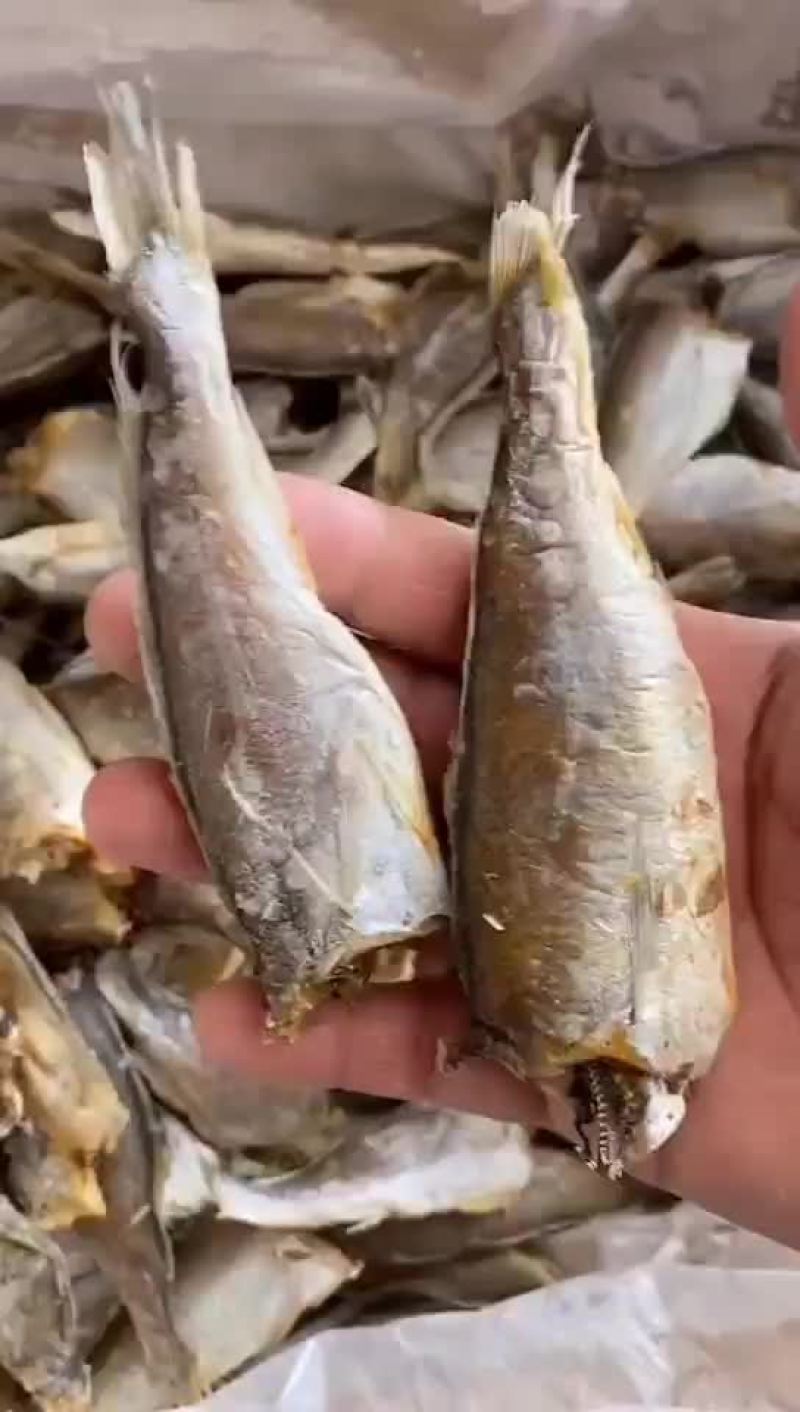 去头淡干花鱼干