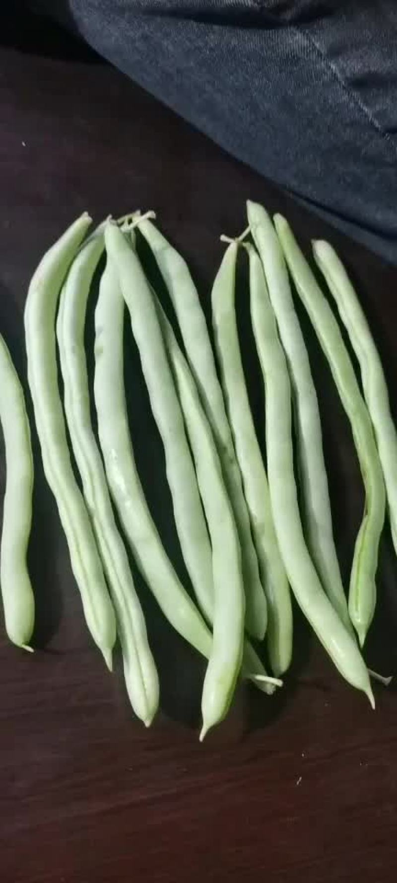 四季豆角