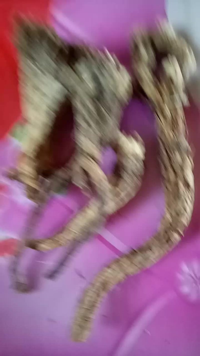 白头翁