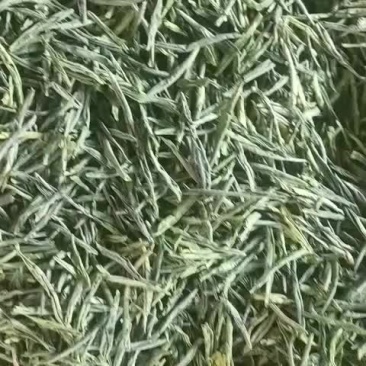 茶叶，六安有机瓜片