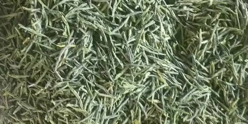 茶叶，六安有机瓜片