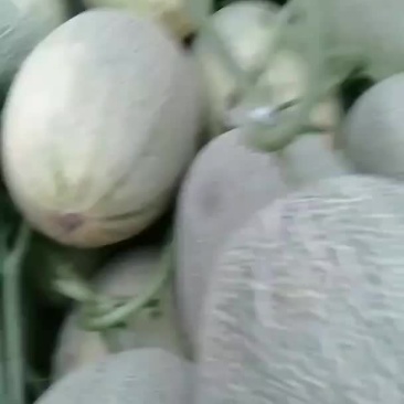 西瓜，哈密瓜。