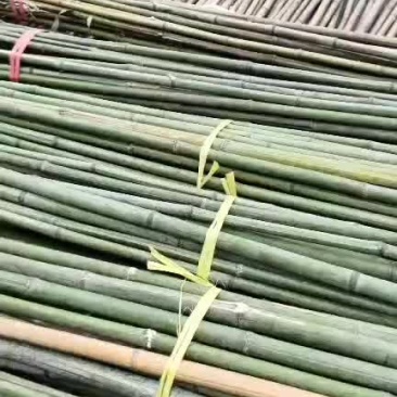 亮货