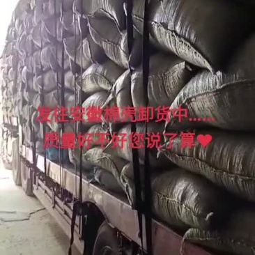 棉籽壳
