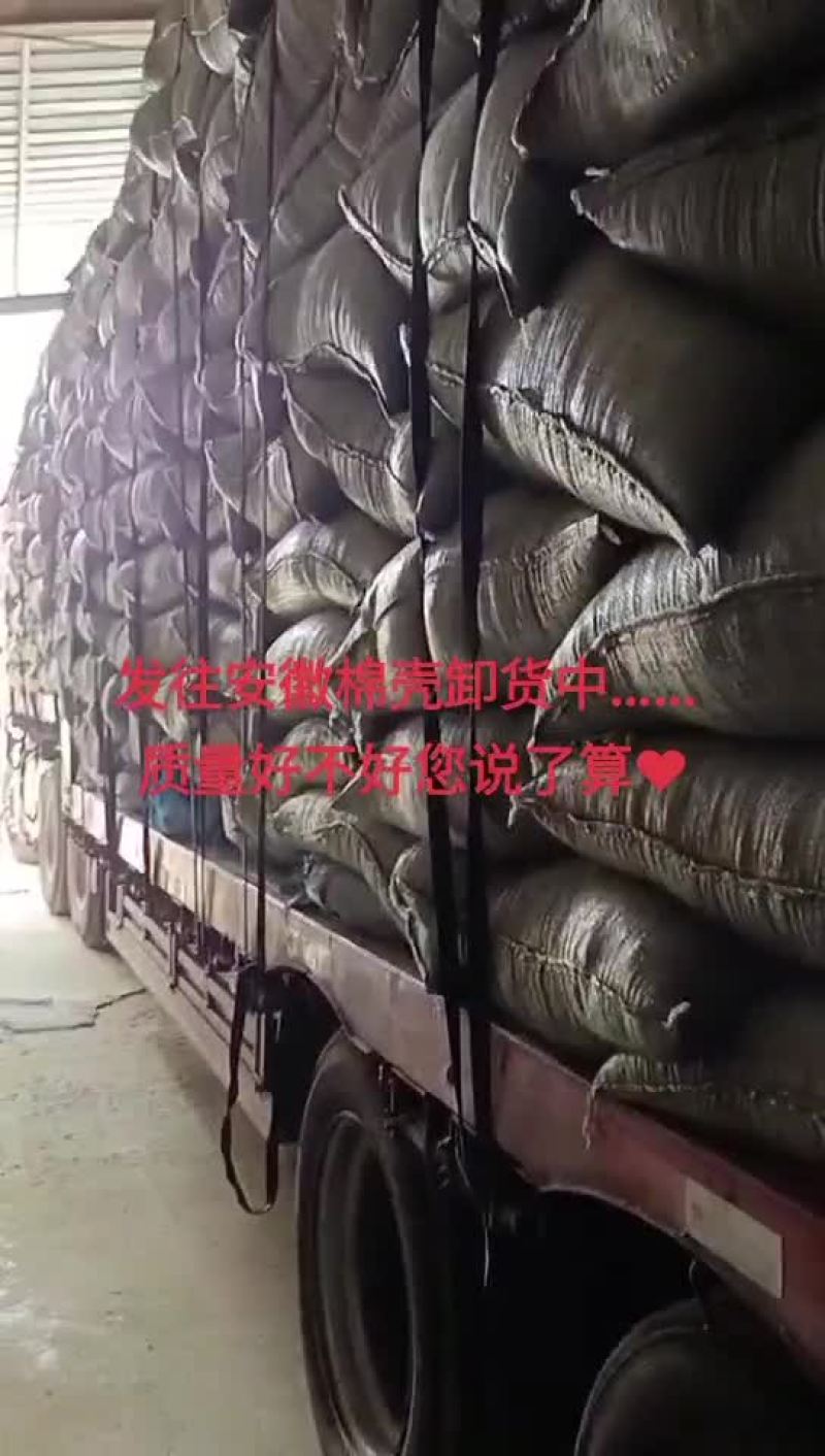 棉籽壳