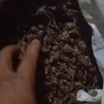 白芨干货