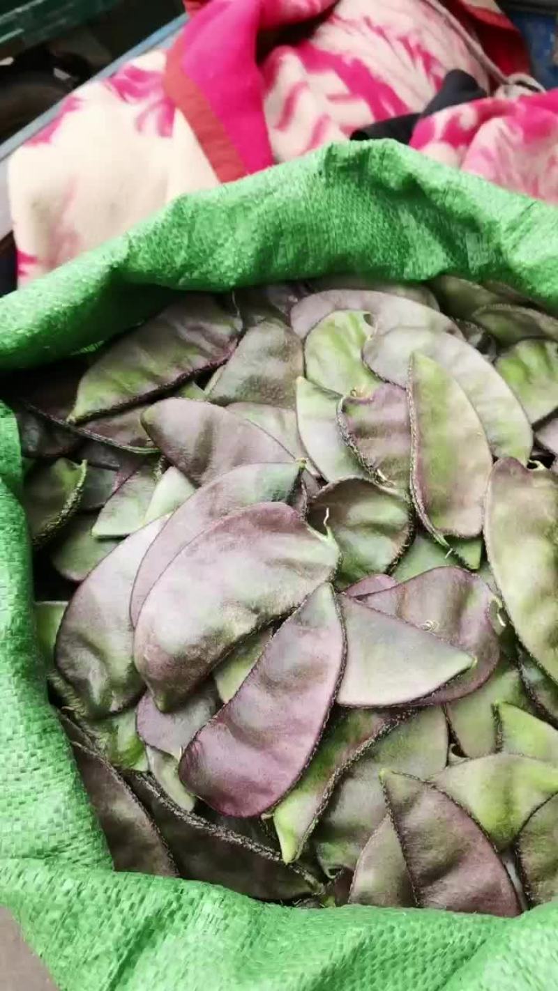 梅豆大量有货