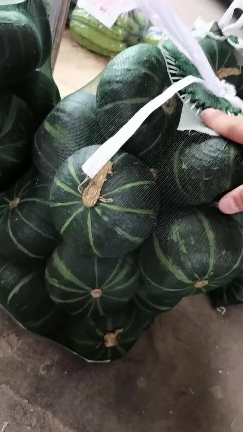 精品贝贝南瓜