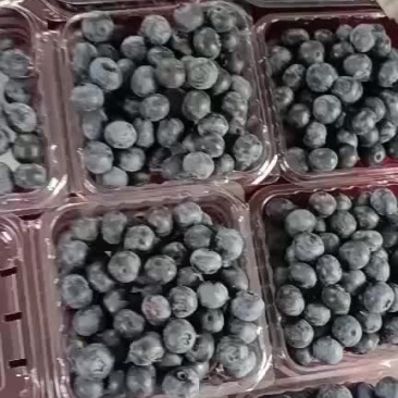 莱克斯好货不多价钱美