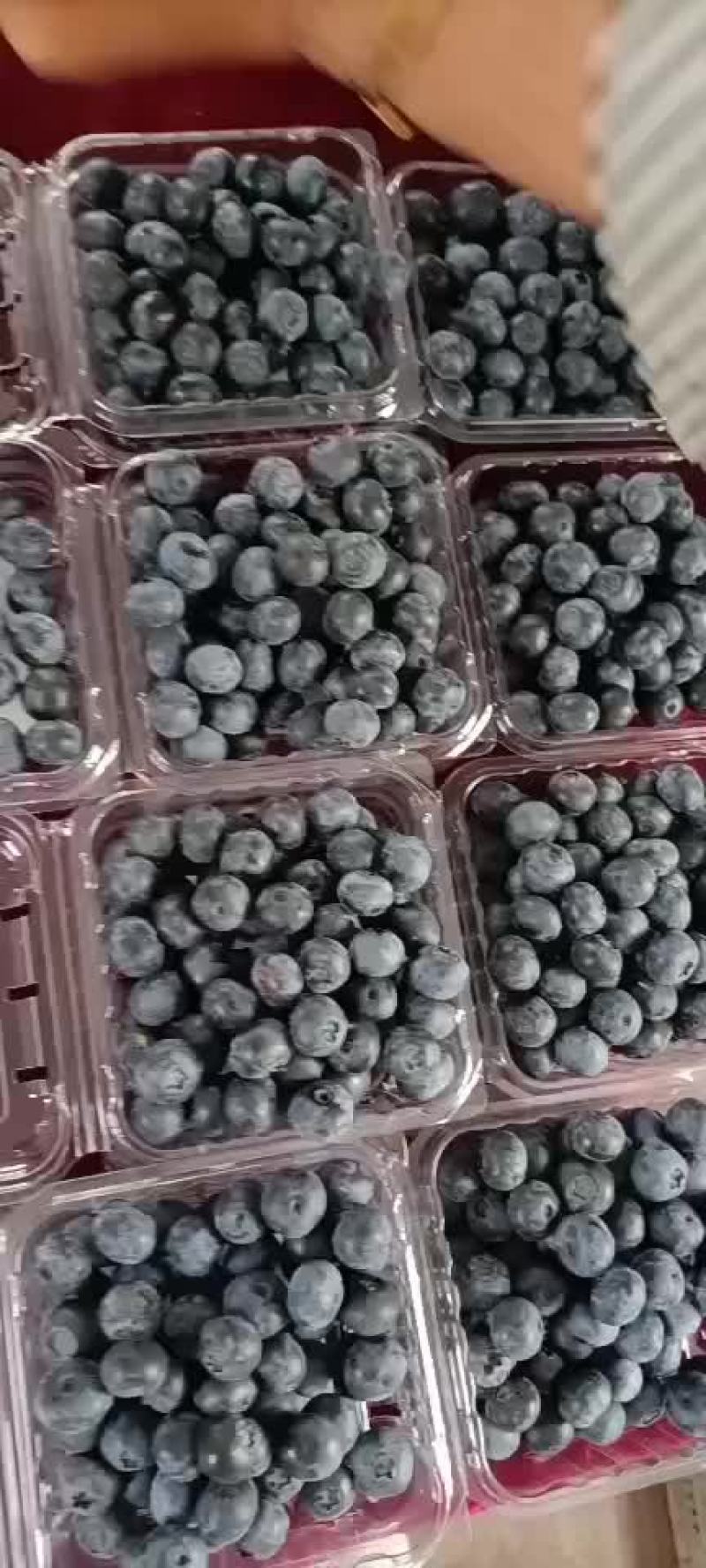 莱克斯好货不多价钱美