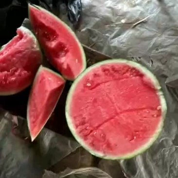云南美嘟西瓜头茬大量供应皮薄瓢红包熟包甜货源充足