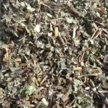 火炭母草干货常年经营各种中药材