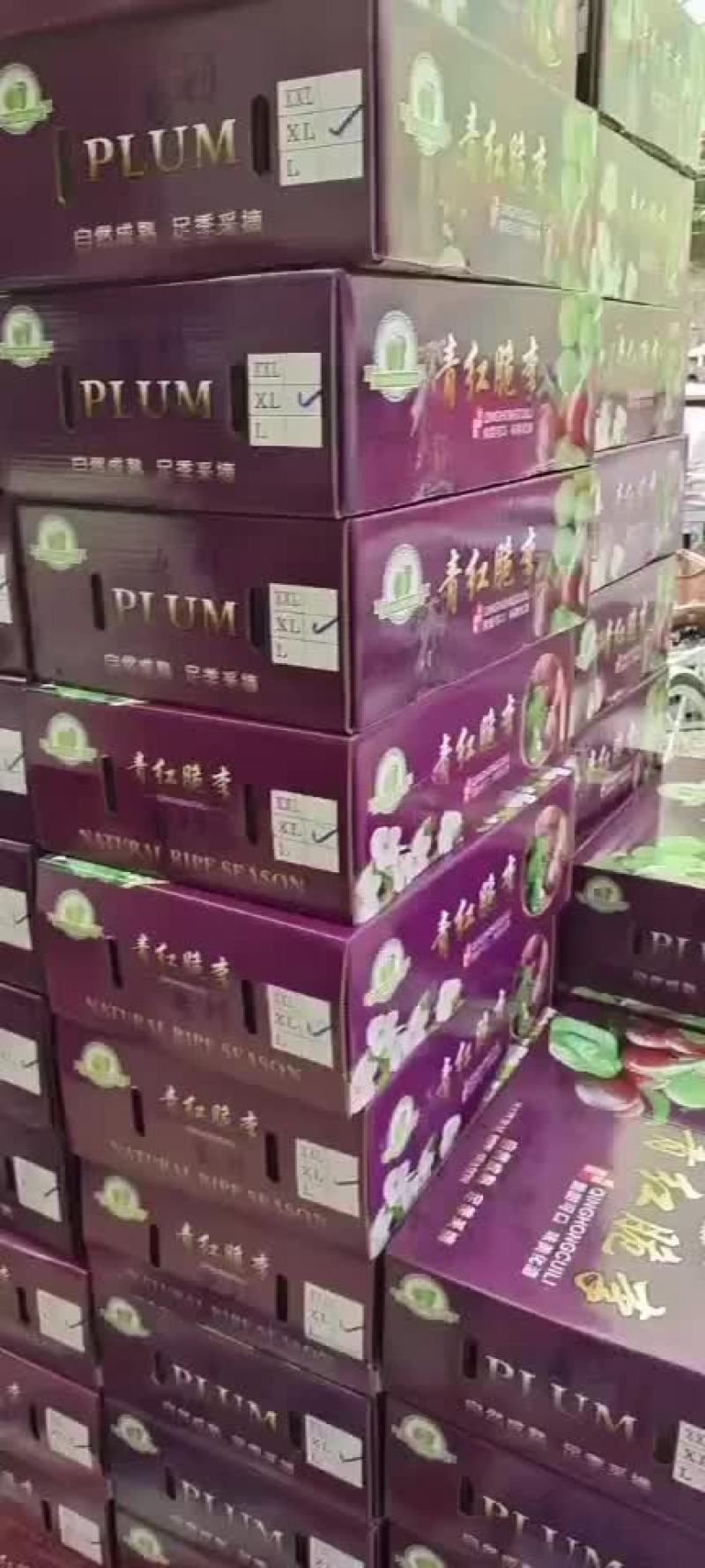云南绥江半边红李子大量上市