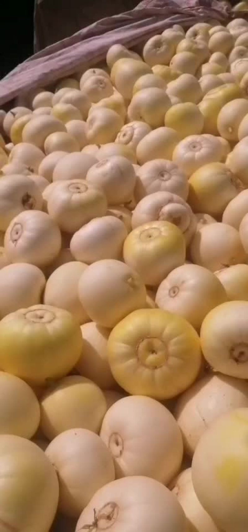 王海斌代办
