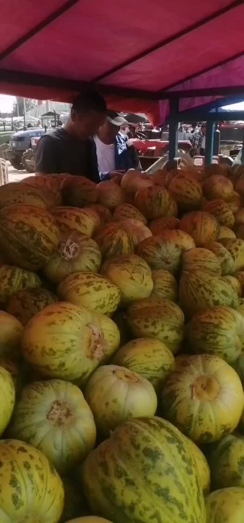 王海斌代办