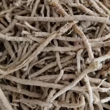 远志筒过实心过风货