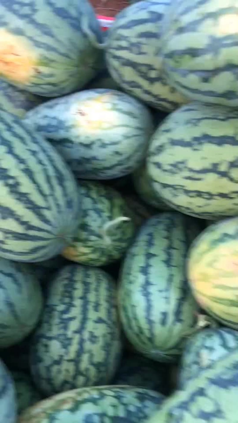 绿裳
