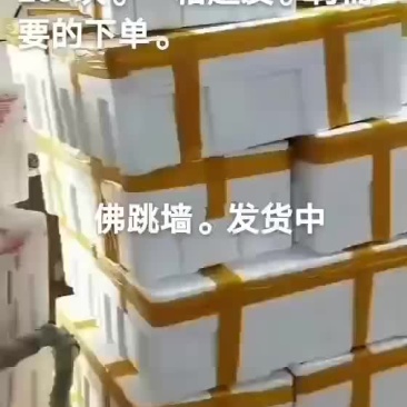 佛跳墙