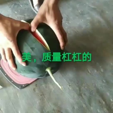蒲城黑无仔
