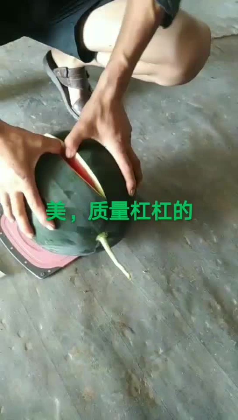 蒲城黑无仔