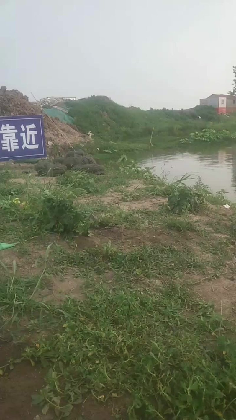一塘口二百三十亩寻求合作伙伴
