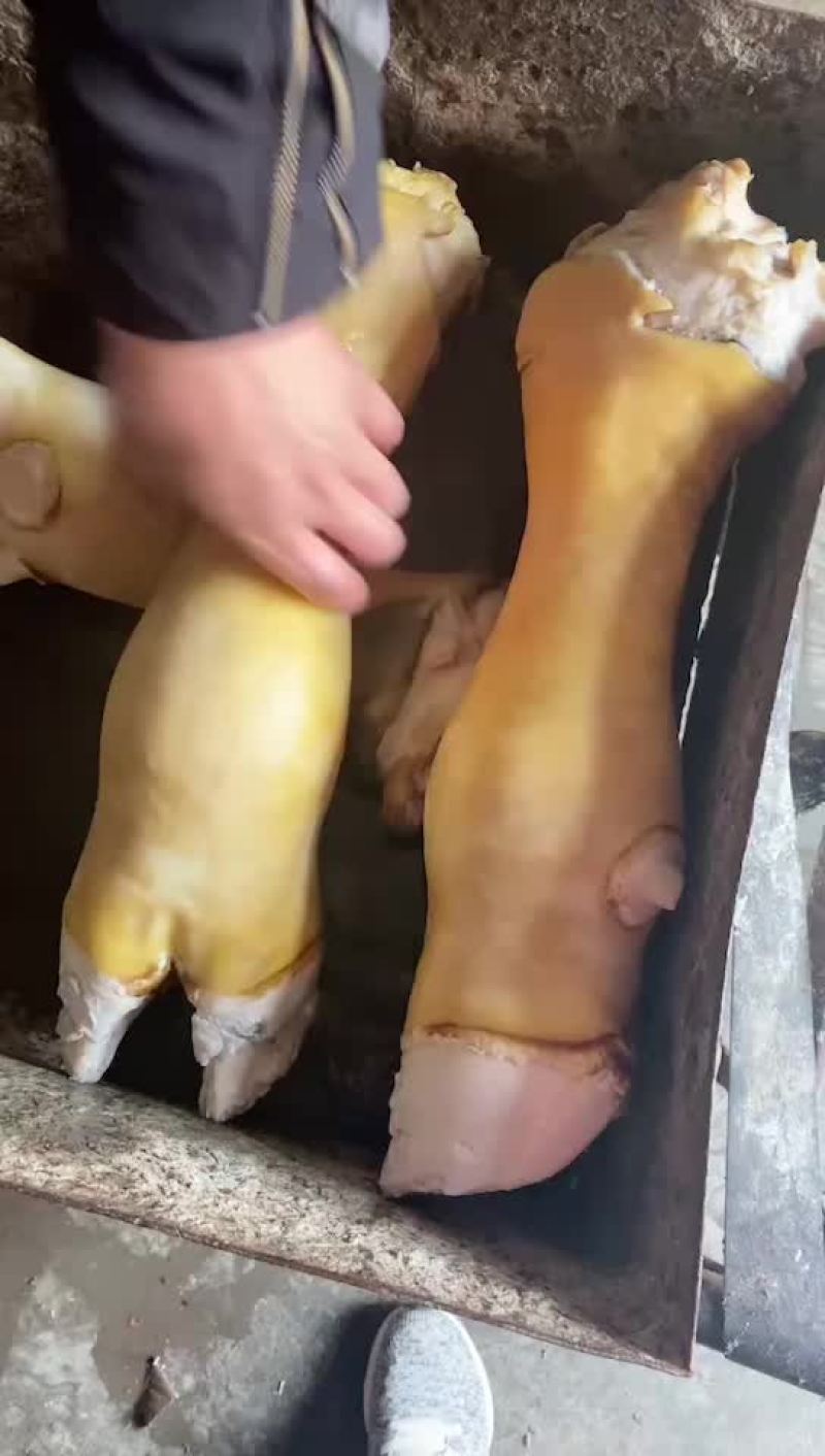 火烧毛牛蹄