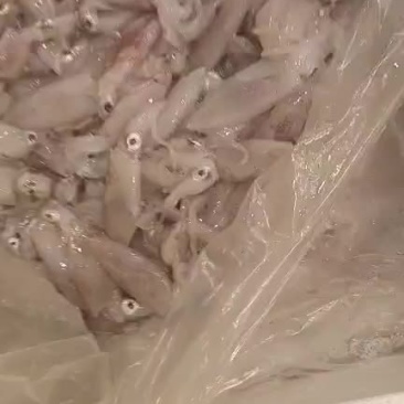 图片仅供参考！
