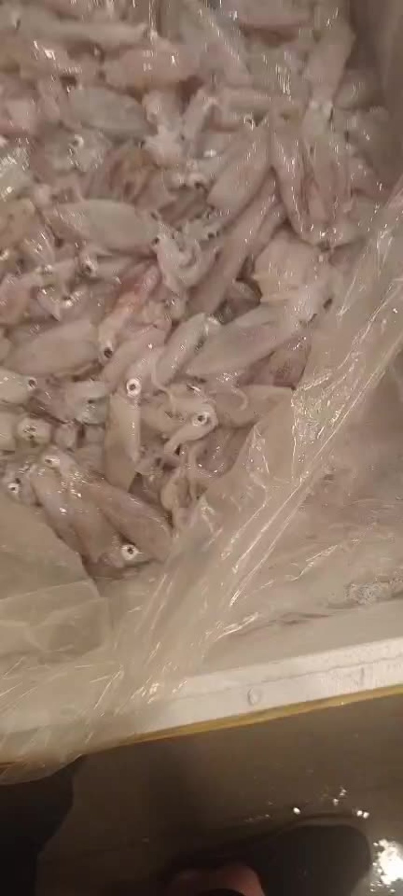 图片仅供参考！