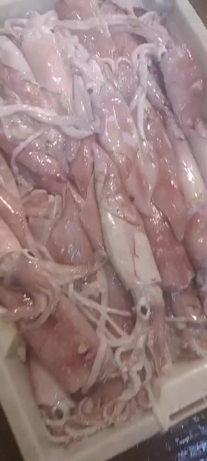 图片仅供参考！