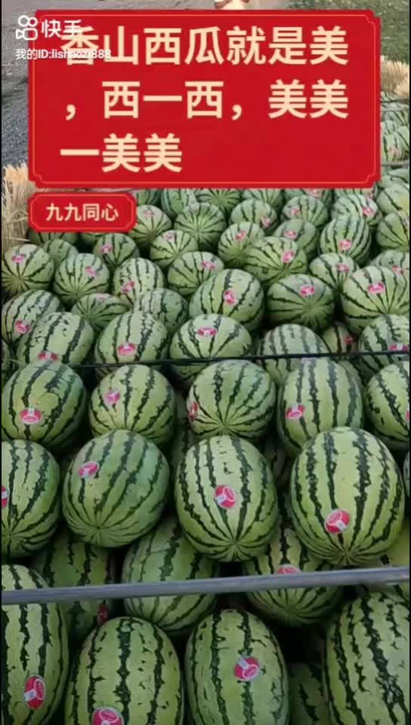宁夏中卫石头瓜，上市