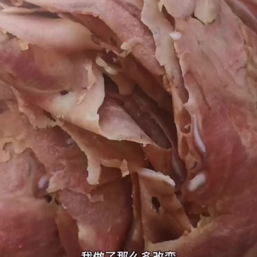 牛杂