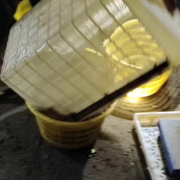 斑节虾大量有货，质量好。