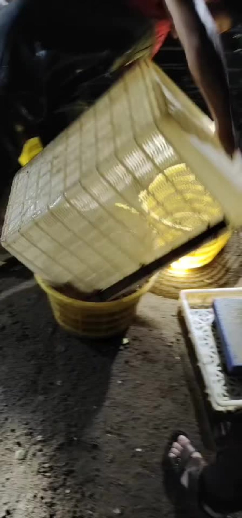 斑节虾大量有货，质量好。