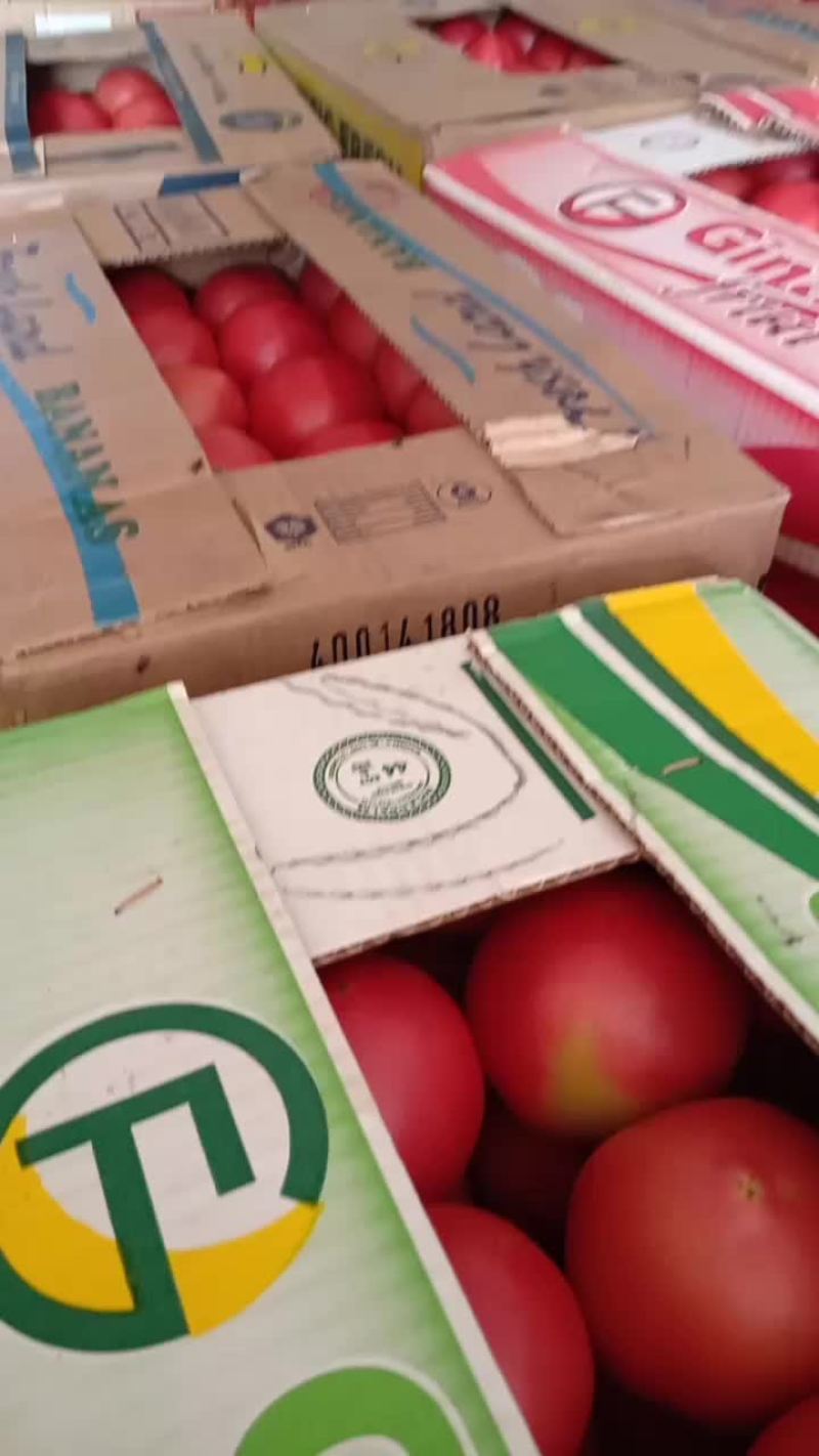 精品西红柿