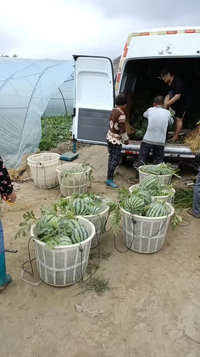 西瓜