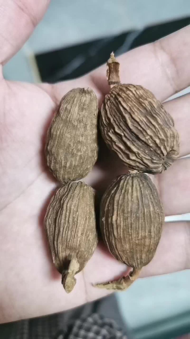 云南盈江草果火烤电烤