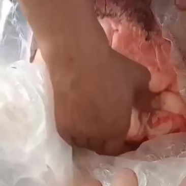 牛蝎子，牛心，