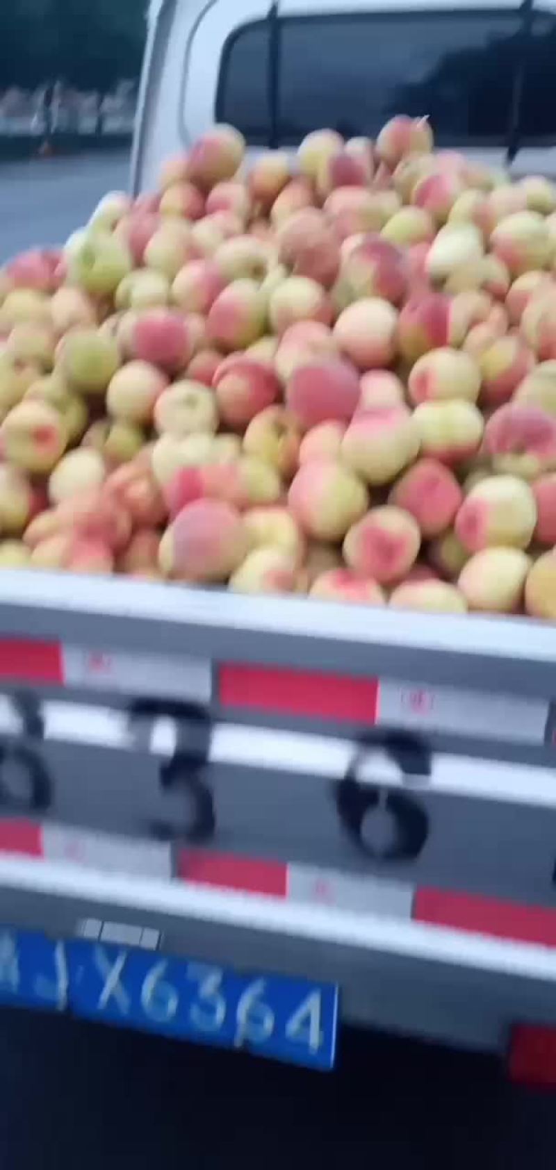 桃